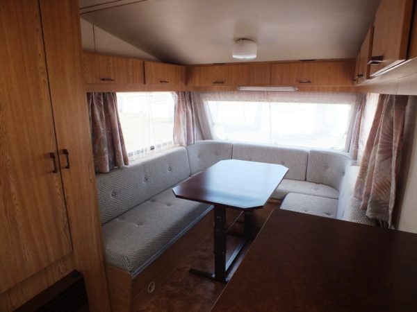 Kip Grey Line KG40EK MET LUIFEL - Afbeelding 6
