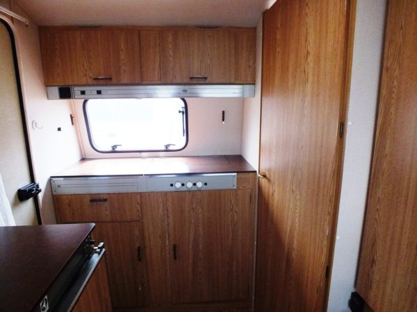 Kip Grey Line KG40EK MET LUIFEL - Afbeelding 9