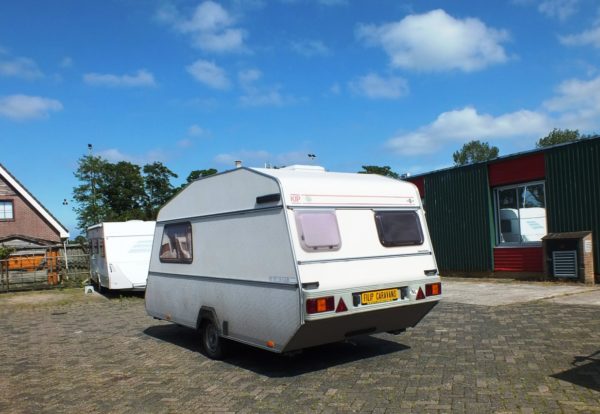 Kip Grey Line KG40EK MET LUIFEL - Afbeelding 5