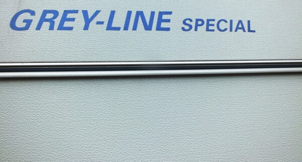 Kip Grey Line 1999 met mover, satelliet antenne en luifel - Afbeelding 19